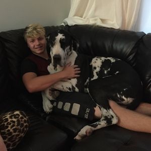 Meet your Posher, Kobi